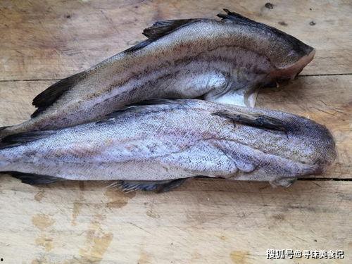 网红吃八瓜鱼视频,口感独特引网友热议！  第2张