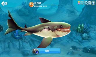 饥饿鲨最新版爆料,全新功能与升级亮点抢先看 第1张 饥饿鲨最新版爆料,全新功能与升级亮点抢先看 第1张